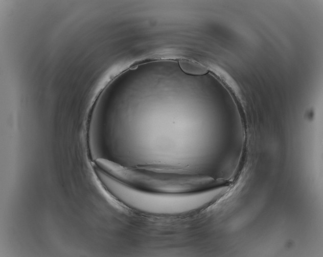 X0000091501429200708161450