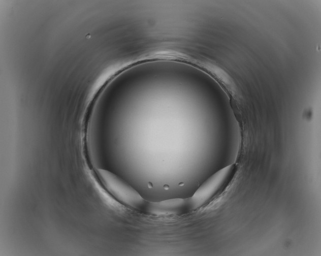 X0000091501430200708161450