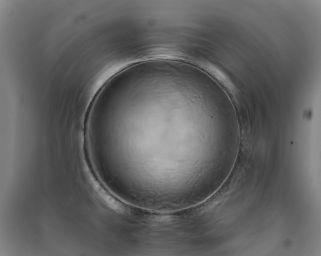 X0000091501431200708161450