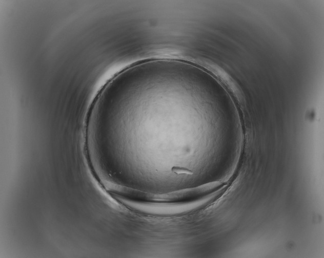 X0000091501432200708161450