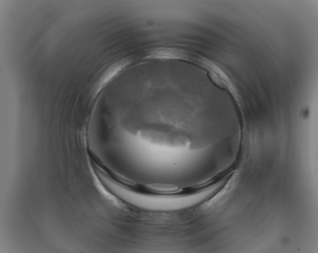 X0000091501433200708161450