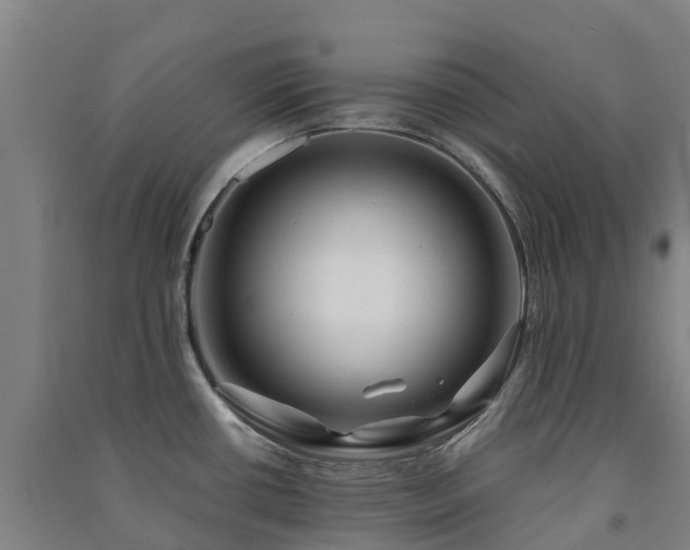 X0000091501434200708161450