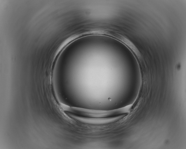 X0000091501436200708161450