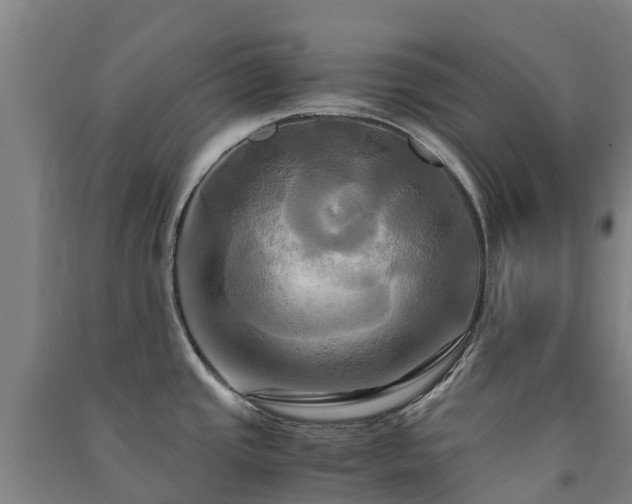 X0000091501437200708161450