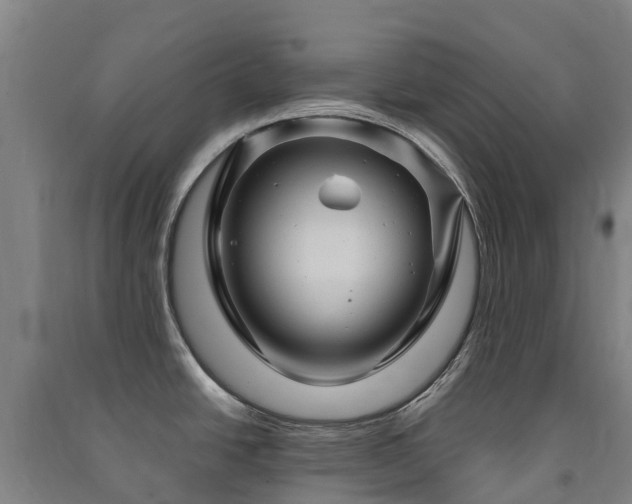 X0000091501438200708161450