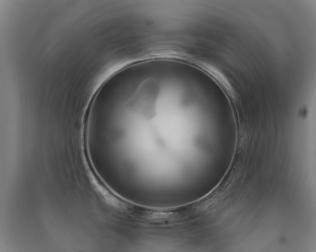 X0000091501439200708161450