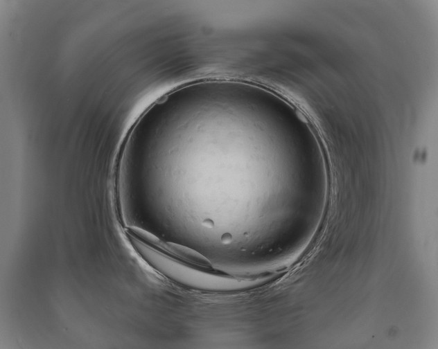 X0000091501440200708161450
