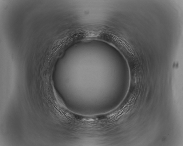 X0000091501441200708161449