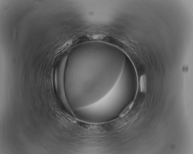X0000091501443200708161449