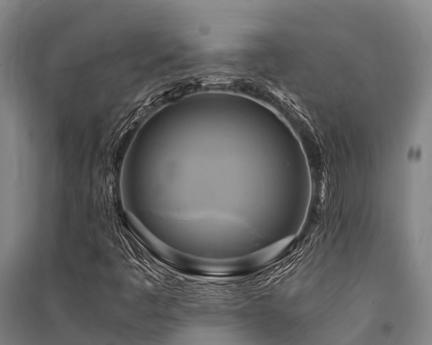 X0000091501445200708161449