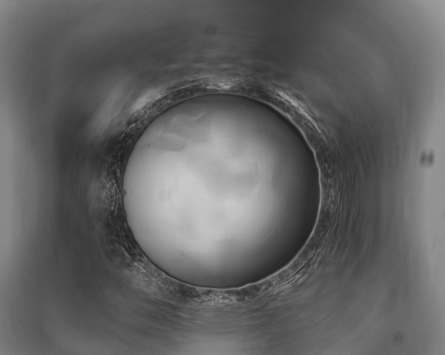 X0000091501446200708161449