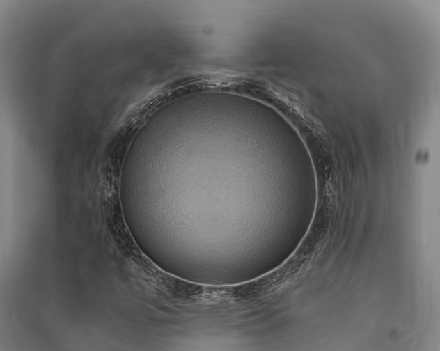 X0000091501447200708161449