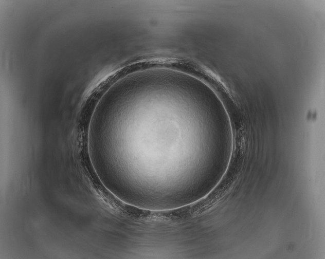 X0000091501448200708161449