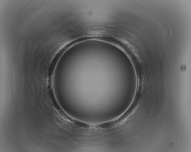 X0000091501449200708161449