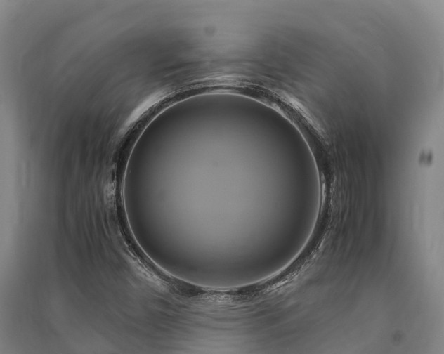 X0000091501450200708161449