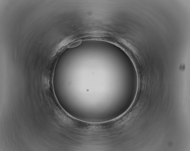 X0000091501451200708161449