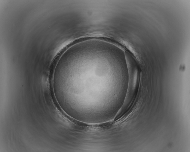 X0000091501452200708161449