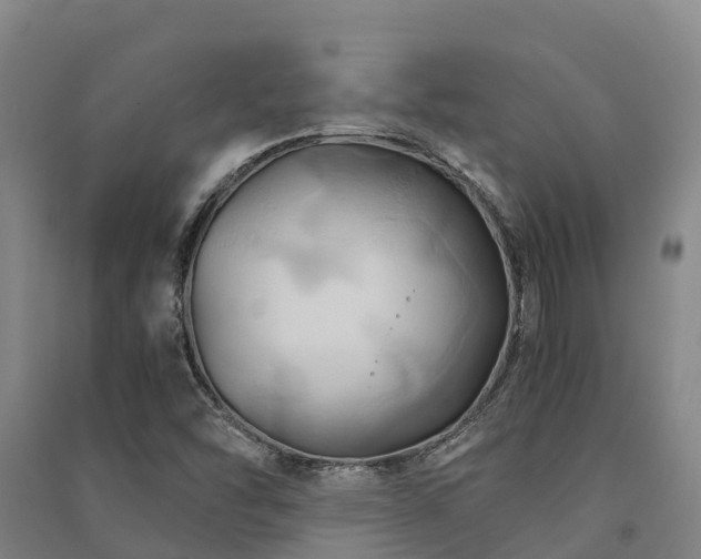 X0000091501454200708161449