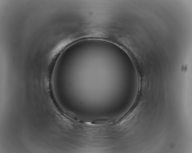 X0000091501455200708161449