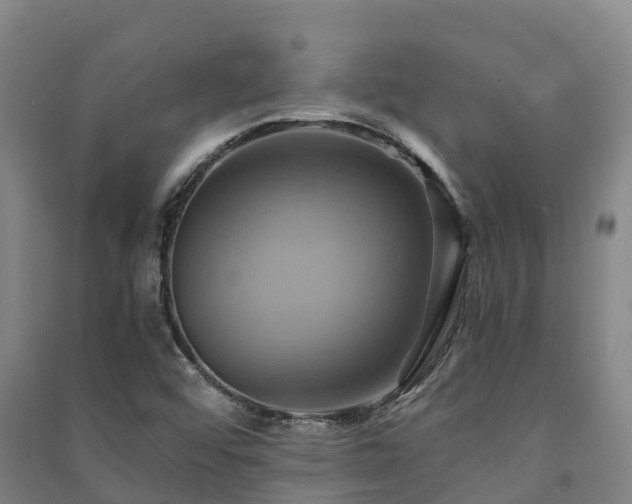 X0000091501456200708161449