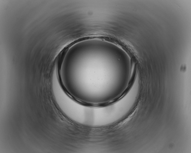X0000091501457200708161449