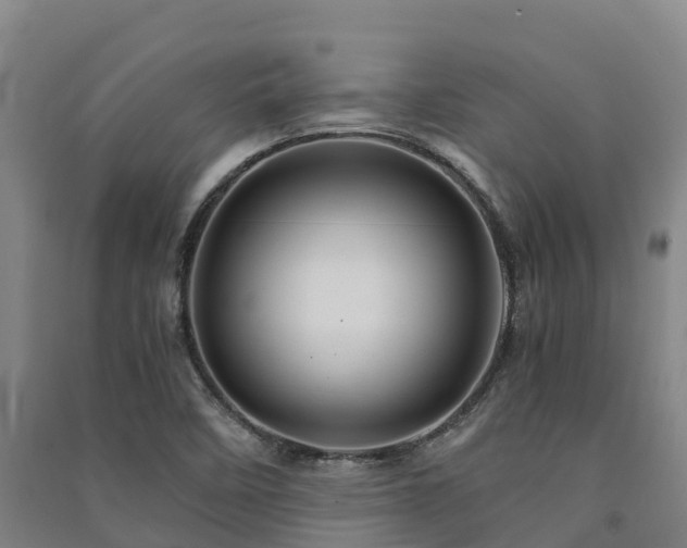 X0000091501458200708161449