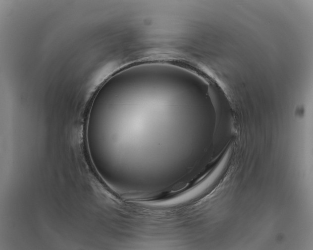 X0000091501459200708161449