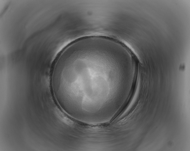 X0000091501460200708161449