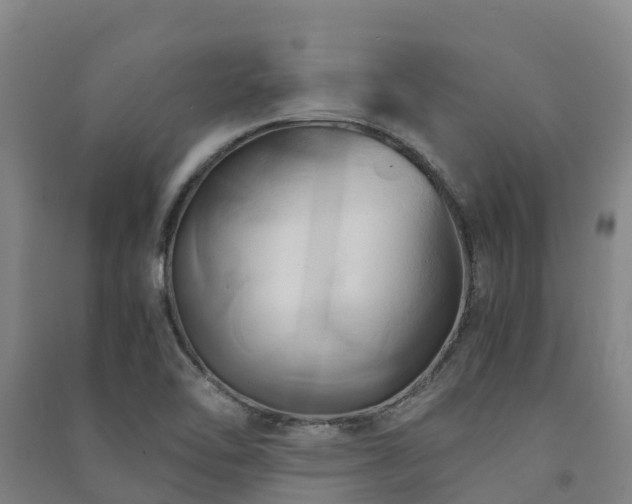 X0000091501462200708161449