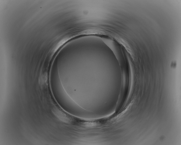 X0000091501465200708161449