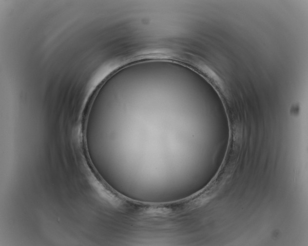 X0000091501466200708161449
