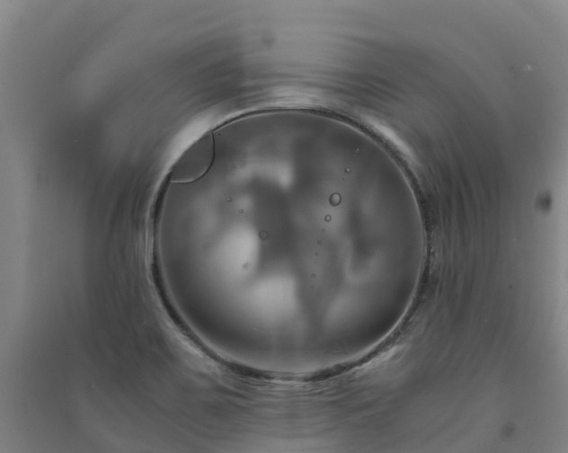 X0000091501467200708161449