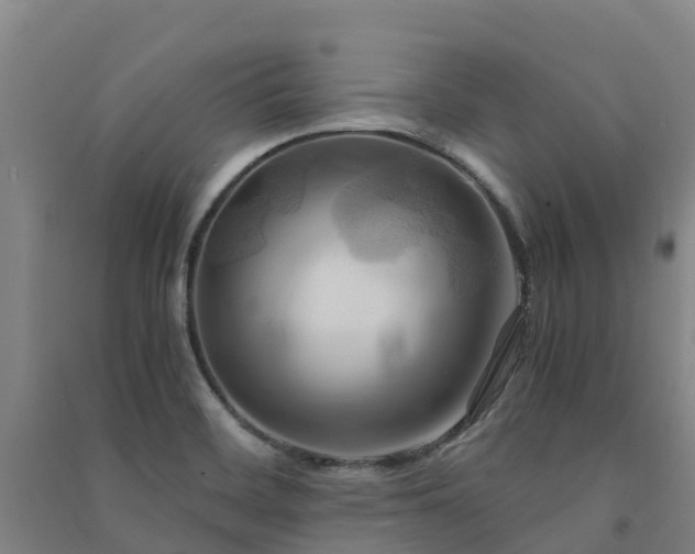 X0000091501468200708161449