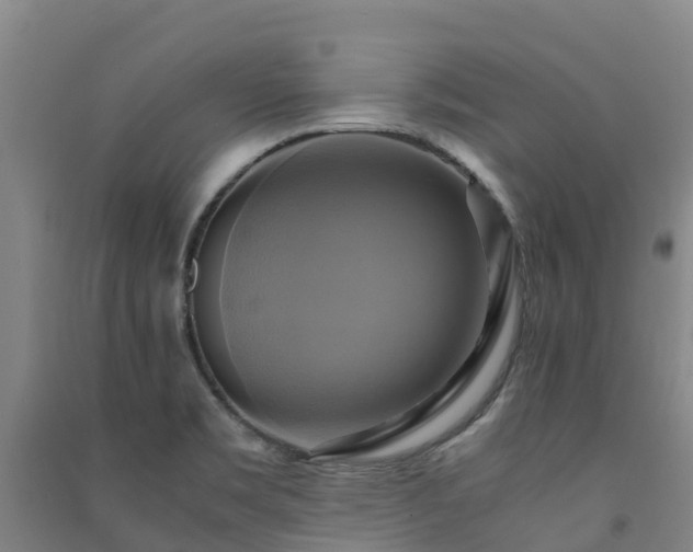 X0000091501469200708161449