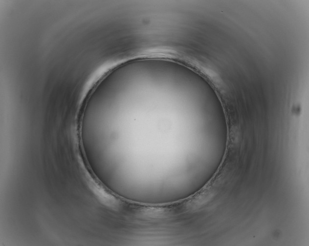 X0000091501470200708161449