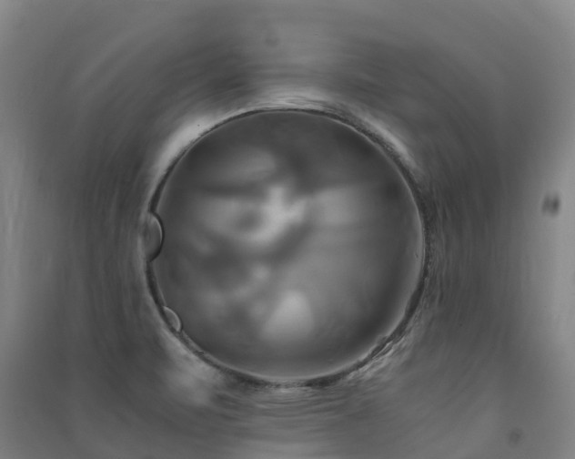 X0000091501471200708161449