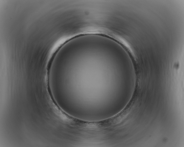 X0000091501472200708161449