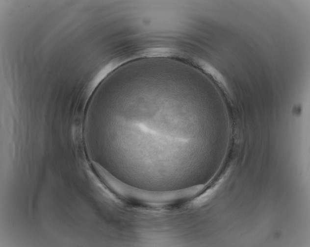 X0000091501473200708161449