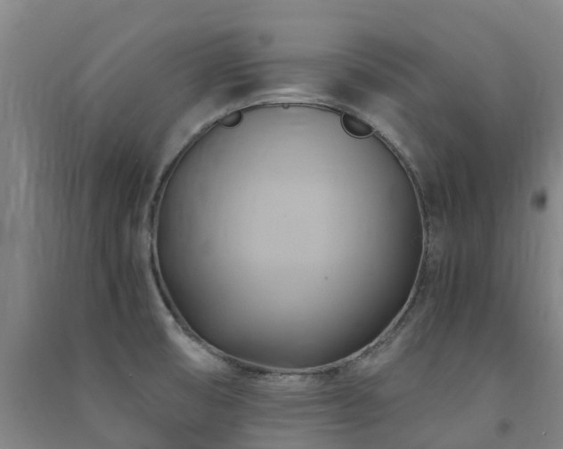 X0000091501474200708161449