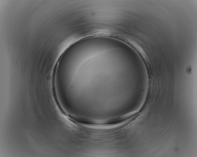 X0000091501475200708161449