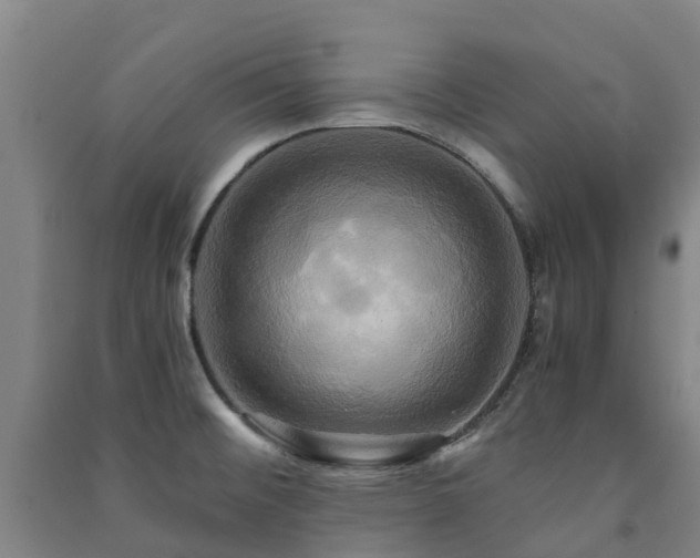 X0000091501476200708161449