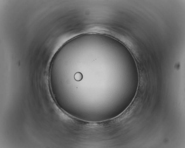 X0000091501478200708161449