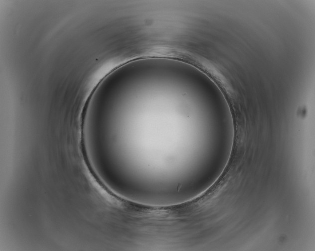 X0000091501479200708161449