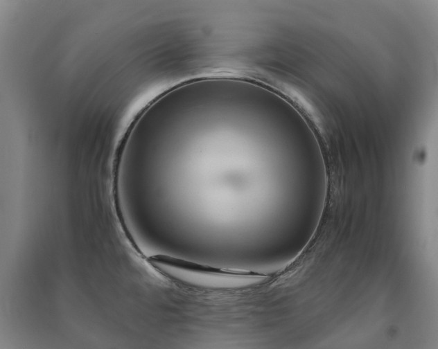 X0000091501480200708161449