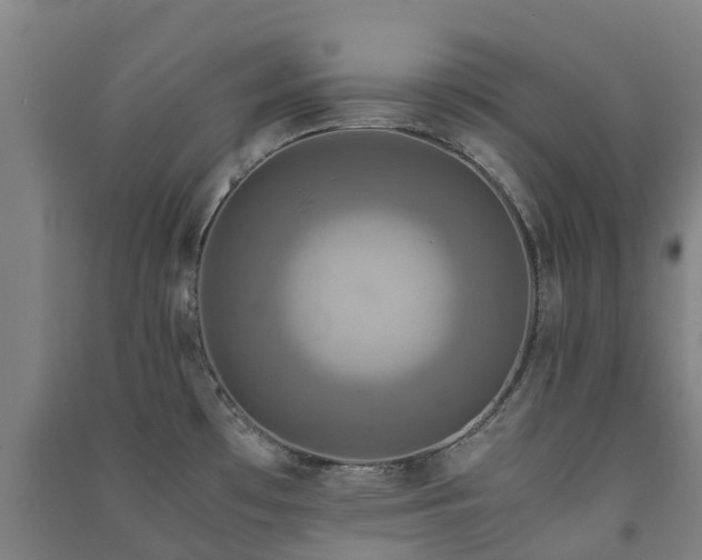 X0000091501481200708161449