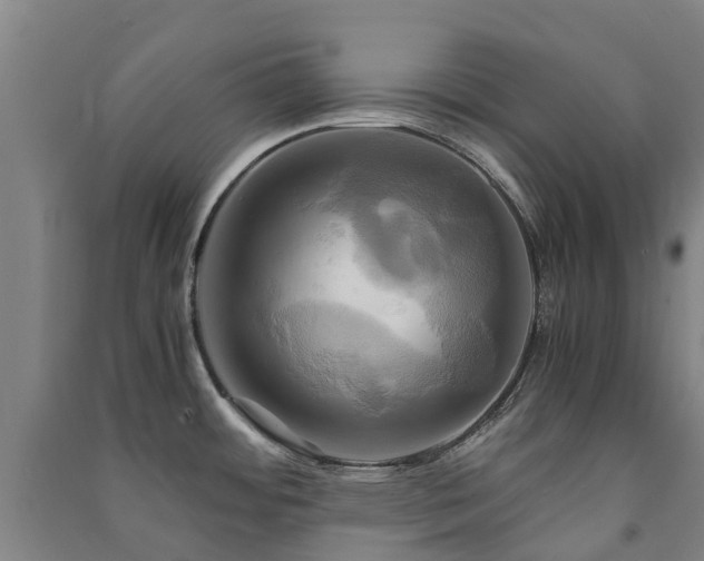 X0000091501484200708161449