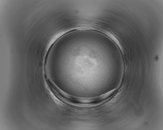 X0000091501485200708161448