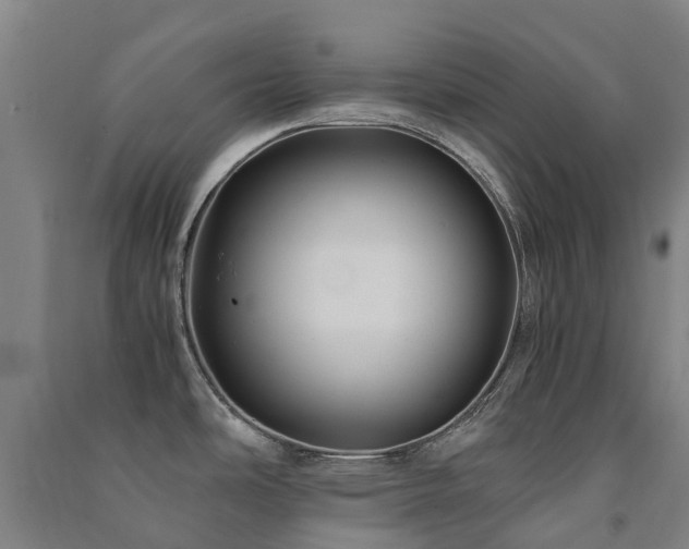 X0000091501486200708161448