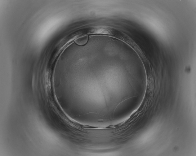 X0000091501487200708161448
