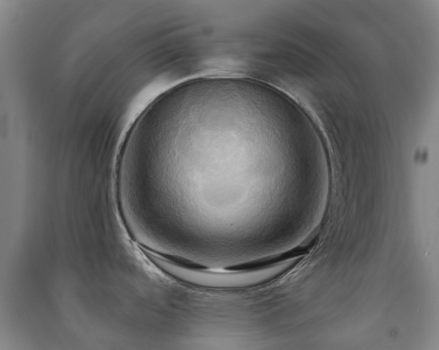 X0000091501488200708161448